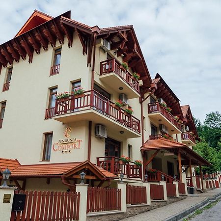 Pensiunea Comfort Совата Экстерьер фото