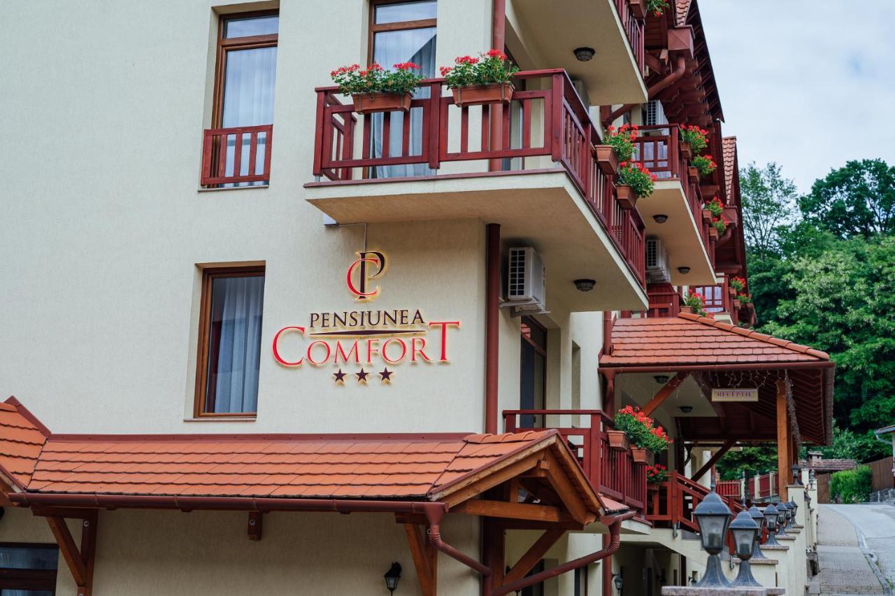 Pensiunea Comfort Совата Экстерьер фото