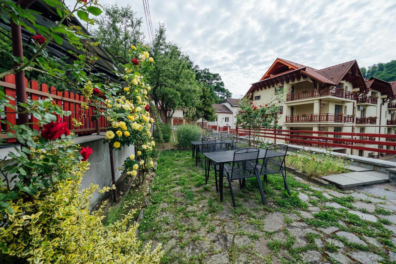 Pensiunea Comfort Совата Экстерьер фото