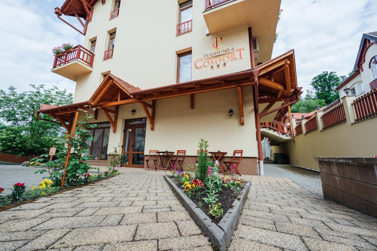 Pensiunea Comfort Совата Экстерьер фото